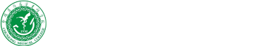 2026美加墨世界杯官网